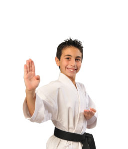 Amerikick.com  shaneWHITEBACKGRND2 AMERIKICK LESSONS IN LIFE SINCE 1967 Kenpo Karate