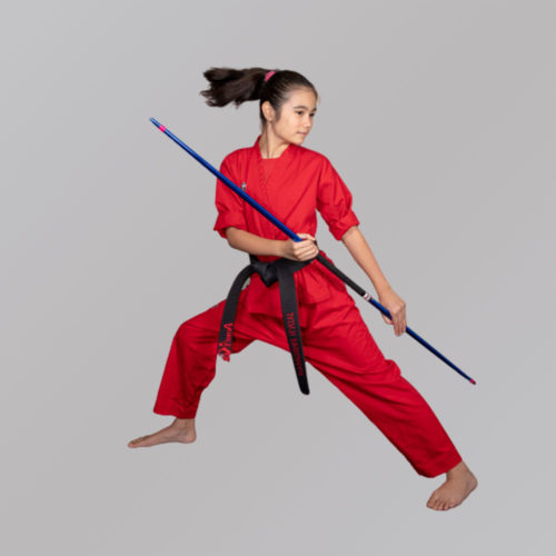 adult martial arts programs​