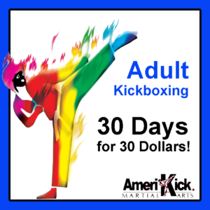 adult martial arts programs​