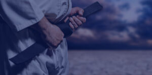 AmeriKick Martial Arts program
